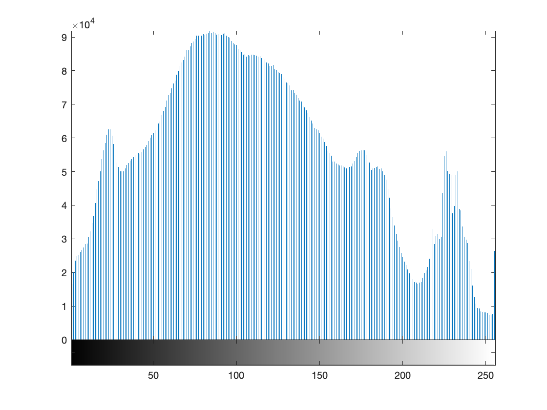 Histogram of a real image before equalization